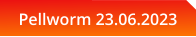 Pellworm 23.06.2023